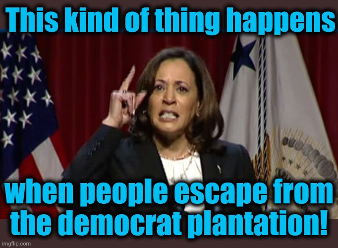 Kamala Angry | This kind of thing happens when people escape from
the democrat plantation! | image tagged in kamala angry | made w/ Imgflip meme maker