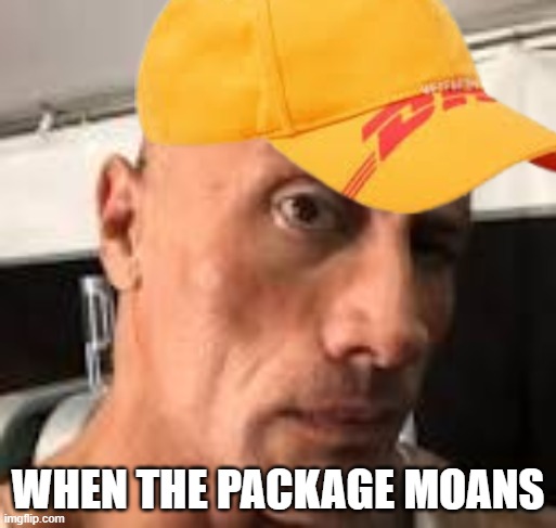 DHL - Dwain the Rock's Hyper Logistics Co. | WHEN THE PACKAGE MOANS | image tagged in memes | made w/ Imgflip meme maker