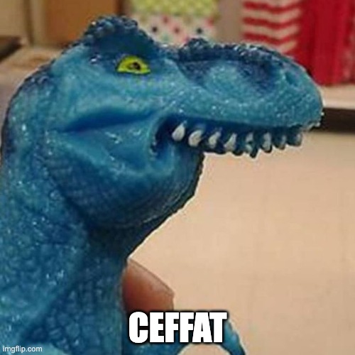 Cepat | CEFFAT | image tagged in ceffat,cepat,hurry,hurry up | made w/ Imgflip meme maker