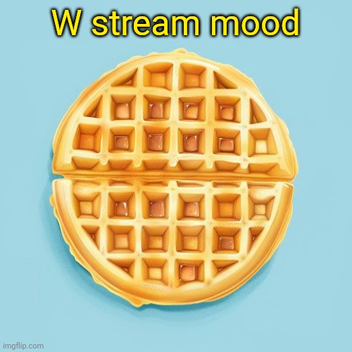 Waffle | W stream mood | image tagged in waffle | made w/ Imgflip meme maker