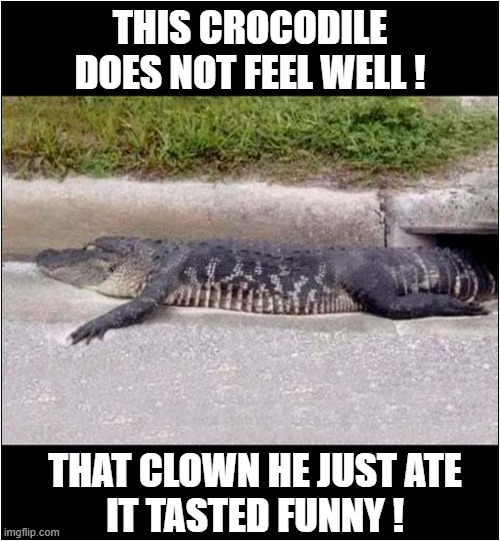 Be Careful What You Eat ! | THIS CROCODILE DOES NOT FEEL WELL ! THAT CLOWN HE JUST ATE
IT TASTED FUNNY ! | image tagged in crocodile,clown,it,dark humour | made w/ Imgflip meme maker