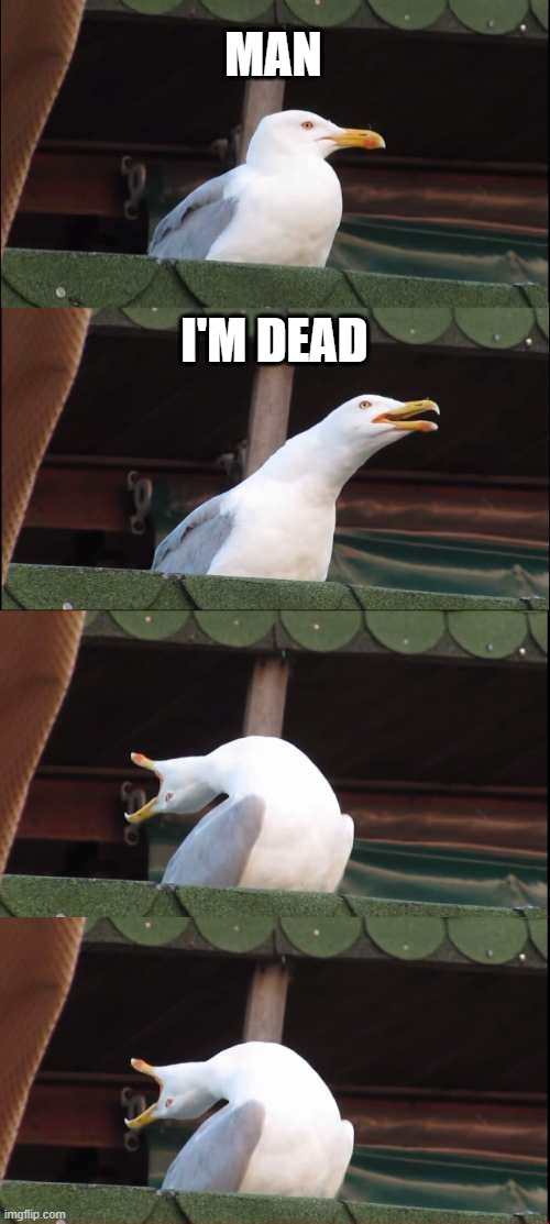 Man I'm DEAD | MAN; I'M DEAD | image tagged in memes,funny,inhaling seagull,antimeme,dead | made w/ Imgflip meme maker