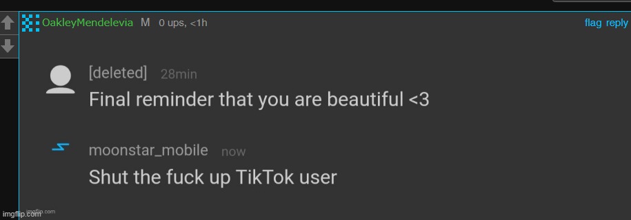 can convince the deleted user is swn | made w/ Imgflip meme maker