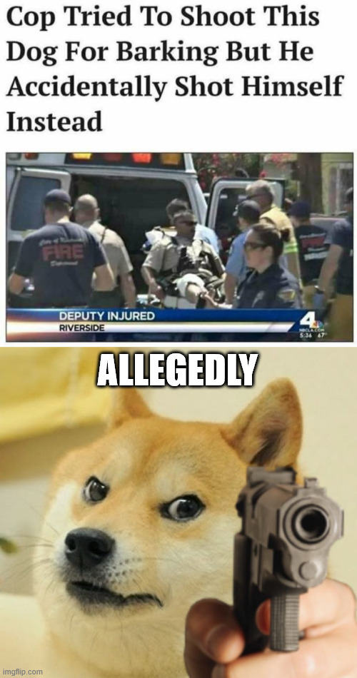 Now this is karma | ALLEGEDLY | image tagged in doge holding a gun | made w/ Imgflip meme maker