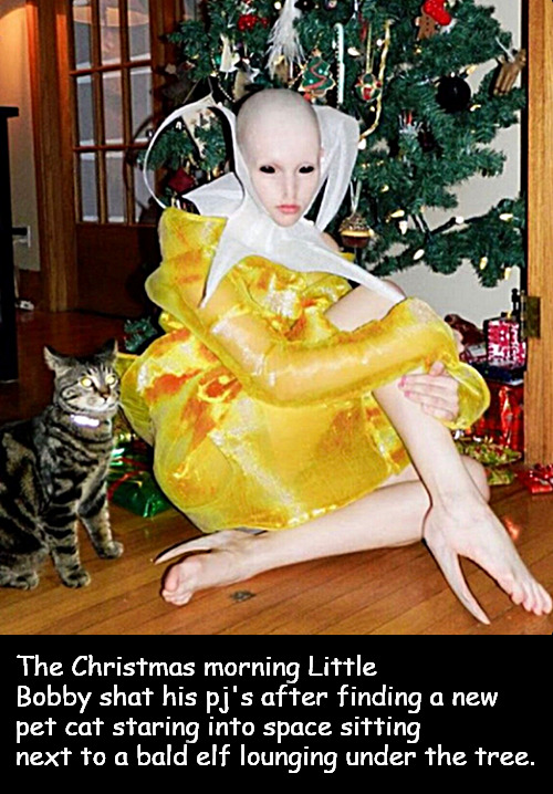 The memories that will last a lifetime. | The Christmas morning Little Bobby shat his pj's after finding a new pet cat staring into space sitting next to a bald elf lounging under the tree. | image tagged in memes,dark humor,elf,christmas,cat | made w/ Imgflip meme maker