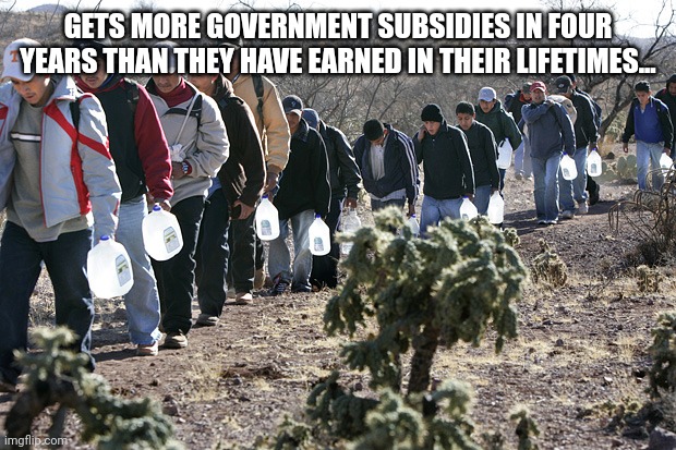 Illegal immigrants crossing border | GETS MORE GOVERNMENT SUBSIDIES IN FOUR YEARS THAN THEY HAVE EARNED IN THEIR LIFETIMES... | image tagged in illegal immigrants crossing border | made w/ Imgflip meme maker