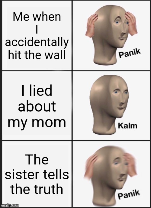 Me when I accidentally hit the wall meme | Me when I accidentally hit the wall; I lied about my mom; The sister tells the truth | image tagged in memes,panik kalm panik | made w/ Imgflip meme maker