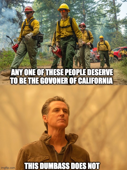 how to fix California | ANY ONE OF THESE PEOPLE DESERVE TO BE THE GOVONER OF CALIFORNIA; THIS DUMBASS DOES NOT | image tagged in california,california fires,america,relatable | made w/ Imgflip meme maker