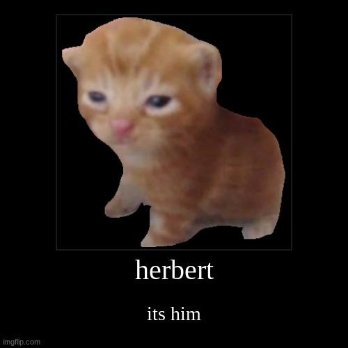 herbert | its him | image tagged in funny,demotivationals | made w/ Imgflip demotivational maker