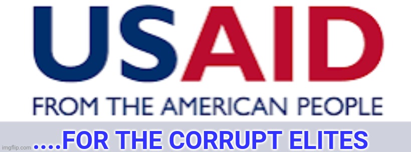 "All lies will be exposed" ....Kate williams | ....FOR THE CORRUPT ELITES | image tagged in usaid logo | made w/ Imgflip meme maker