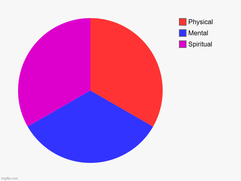 Human Beings - physical, mental and spiritual | Spiritual, Mental, Physical | image tagged in pie charts,psychology,behaviorism,humanity,humanism,philosophy | made w/ Imgflip chart maker