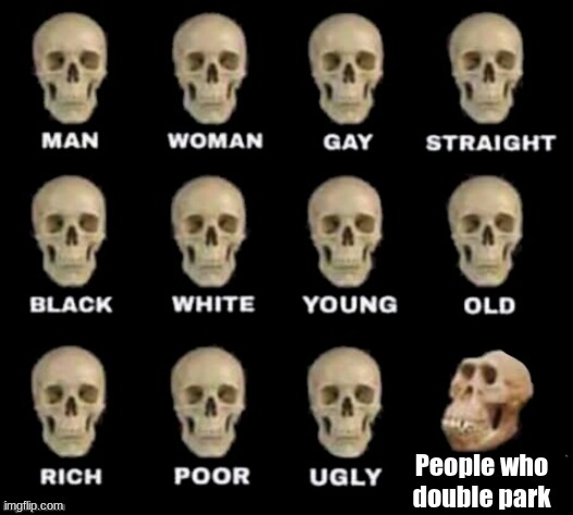 idiot skull | People who double park | image tagged in idiot skull | made w/ Imgflip meme maker