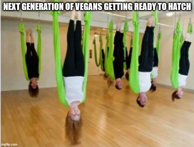 vegans hatching | NEXT GENERATION OF VEGANS GETTING READY TO HATCH | image tagged in vegan,vegetables,vegetarian,veggietales,hatching vegans | made w/ Imgflip meme maker