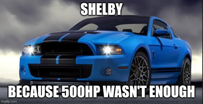 Mustang | SHELBY; BECAUSE 500HP WASN'T ENOUGH | image tagged in mustang | made w/ Imgflip meme maker