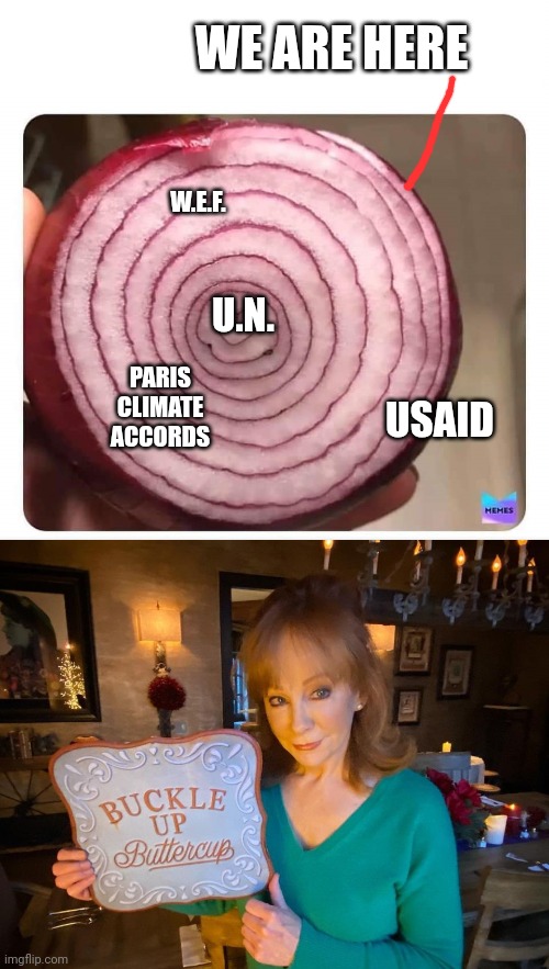 WE ARE HERE; W.E.F. U.N. PARIS CLIMATE ACCORDS; USAID | image tagged in onion,buckle up | made w/ Imgflip meme maker