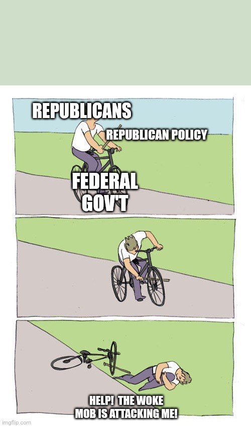 Bike Fall Meme | REPUBLICANS; REPUBLICAN POLICY; FEDERAL GOV'T; HELP!  THE WOKE MOB IS ATTACKING ME! | image tagged in memes,bike fall | made w/ Imgflip meme maker