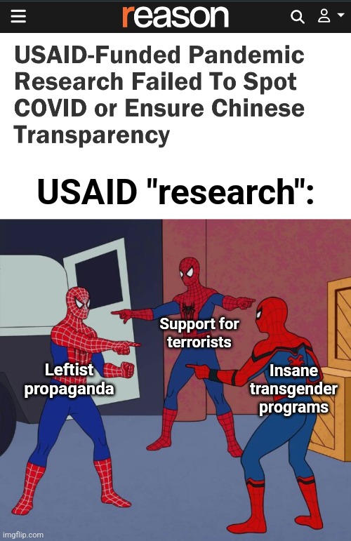 USAID "research":; Support for
terrorists; Leftist
propaganda; Insane
transgender
programs | image tagged in spider man triple,memes,usaid,corruption,democrats,covid-19 | made w/ Imgflip meme maker