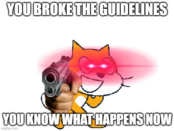 Scratch Cat with a gun | YOU BROKE THE GUIDELINES; YOU KNOW WHAT HAPPENS NOW | image tagged in scratch cat with a gun | made w/ Imgflip meme maker