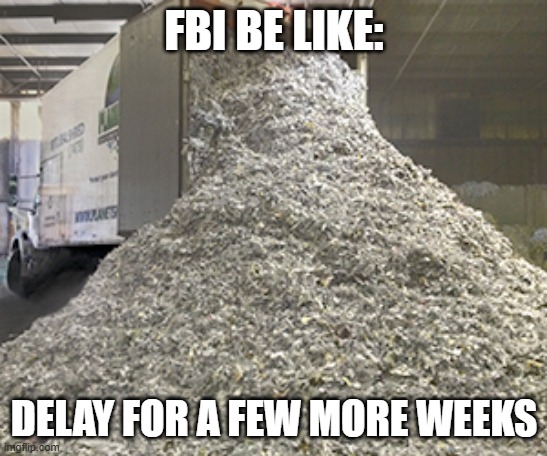 shredded paper | FBI BE LIKE: DELAY FOR A FEW MORE WEEKS | image tagged in shredded paper | made w/ Imgflip meme maker