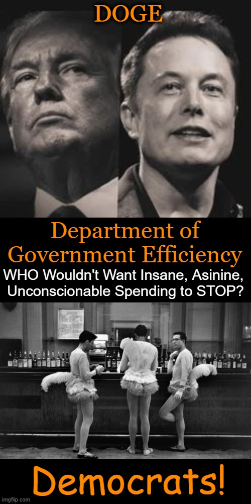 This is clearly a black & white issue except to DEMOCRATS | DOGE; Department of 
Government Efficiency; WHO Wouldn't Want Insane, Asinine, 

Unconscionable Spending to STOP? Democrats! | image tagged in donald trump and elon musk,liberals vs conservatives,wrong vs right,evil vs good,national debt,time for truth | made w/ Imgflip meme maker