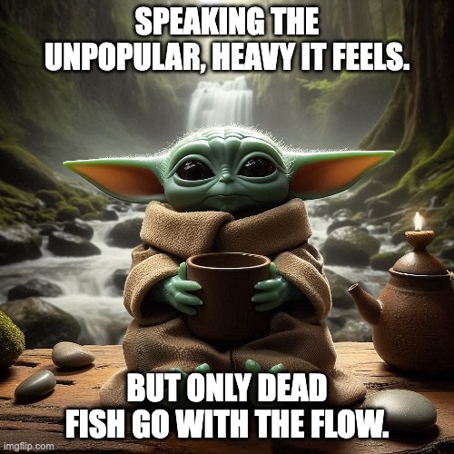 May the force of unpopular opinions be with you! | SPEAKING THE UNPOPULAR, HEAVY IT FEELS. BUT ONLY DEAD FISH GO WITH THE FLOW. | image tagged in baby yoda,coaching,life lessons | made w/ Imgflip meme maker