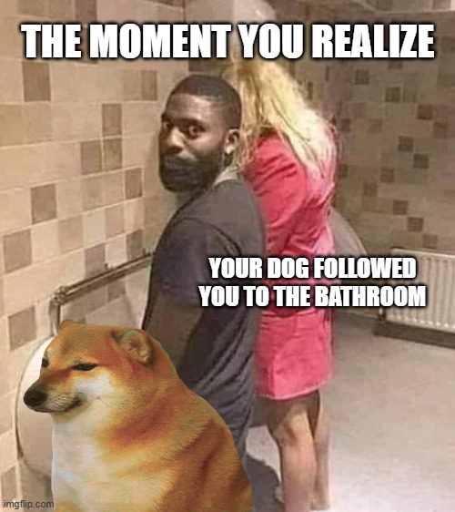 woof | THE MOMENT YOU REALIZE; YOUR DOG FOLLOWED YOU TO THE BATHROOM | image tagged in dog memes,woof,cheems | made w/ Imgflip meme maker