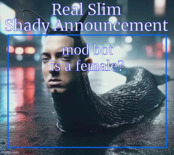 I saw erp with it ;-; | mod bot is a female? | image tagged in real slim shady announcement temp,chat | made w/ Imgflip meme maker