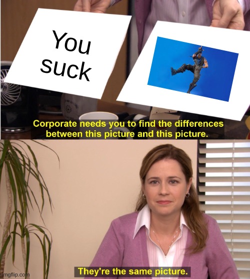 No difference | You suck | image tagged in memes,they're the same picture | made w/ Imgflip meme maker