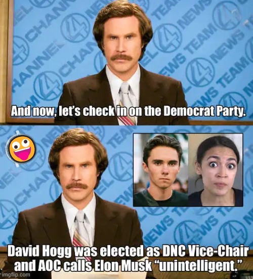 Democrats Going From Dumb to Dumber to Dingbat | 🤪 | image tagged in when will we reach ground zero,rock bottom,how could it be worse,funny not funny,stupid liberals,wth | made w/ Imgflip meme maker