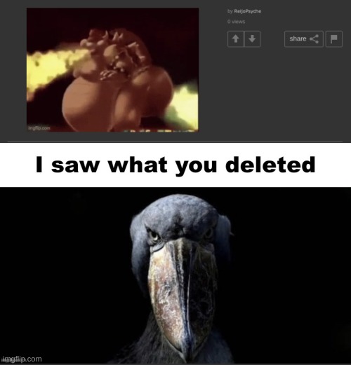 image tagged in i saw what you deleted | made w/ Imgflip meme maker