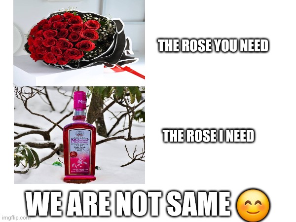 My 1st ever meme | THE ROSE YOU NEED; THE ROSE I NEED; WE ARE NOT SAME 😊 | image tagged in valentines | made w/ Imgflip meme maker