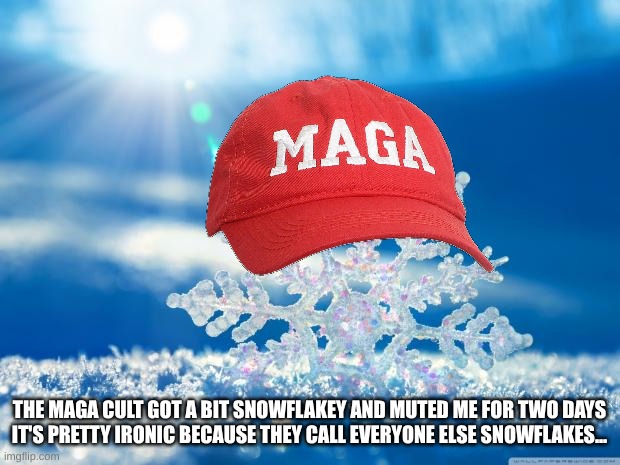 Muted by snowflakes | THE MAGA CULT GOT A BIT SNOWFLAKEY AND MUTED ME FOR TWO DAYS

IT'S PRETTY IRONIC BECAUSE THEY CALL EVERYONE ELSE SNOWFLAKES... | image tagged in snowflake,conservative hypocrisy,not really a meme,mute,waiting | made w/ Imgflip meme maker