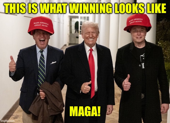 Winning! | THIS IS WHAT WINNING LOOKS LIKE; MAGA! | image tagged in trump tucker and elon big maga hats,winning,maga,blank red maga hat | made w/ Imgflip meme maker