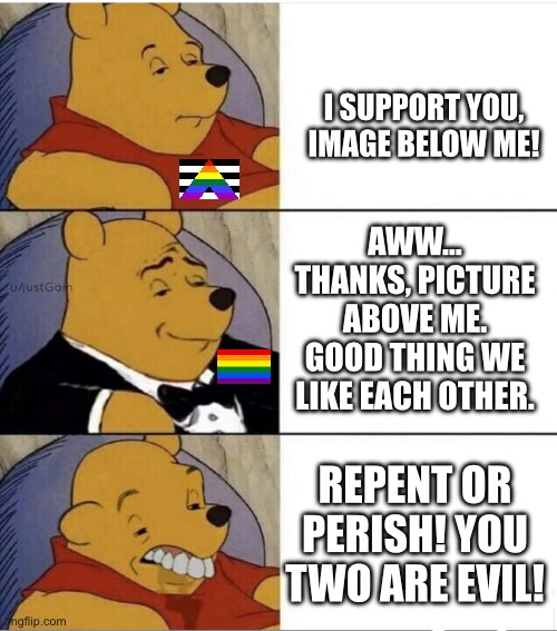 2 People with Basic Intelligence vs 1 Idiot | I SUPPORT YOU, IMAGE BELOW ME! AWW… THANKS, PICTURE ABOVE ME. GOOD THING WE LIKE EACH OTHER. REPENT OR PERISH! YOU TWO ARE EVIL! | image tagged in tuxedo pooh with idiot | made w/ Imgflip meme maker