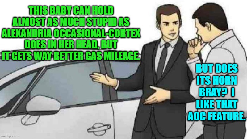 She is inspirational. | THIS BABY CAN HOLD ALMOST AS MUCH STUPID AS ALEXANDRIA OCCASIONAL-CORTEX DOES IN HER HEAD, BUT IT GETS WAY BETTER GAS MILEAGE. BUT DOES ITS HORN BRAY?  I LIKE THAT AOC FEATURE. | image tagged in car salesman slaps roof of car | made w/ Imgflip meme maker