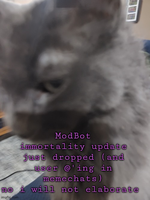 32's Cat | ModBot immortality update just dropped (and user @'ing in memechats)
no i will not elaborate | image tagged in 32's cat | made w/ Imgflip meme maker