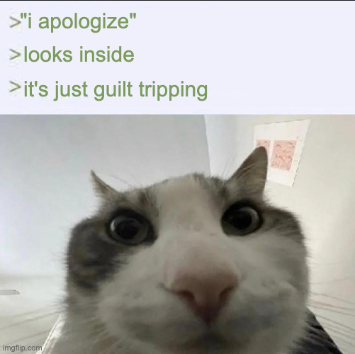 Cat looks inside | "i apologize"; looks inside; it's just guilt tripping | image tagged in cat looks inside | made w/ Imgflip meme maker