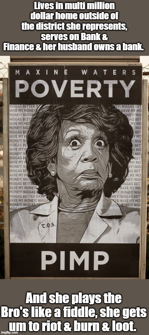 Lives in multi million dollar home outside of the district she represents, serves on Bank & Finance & her husband owns a bank. And she plays the Bro's like a fiddle, she gets um to riot & burn & loot. | made w/ Imgflip meme maker