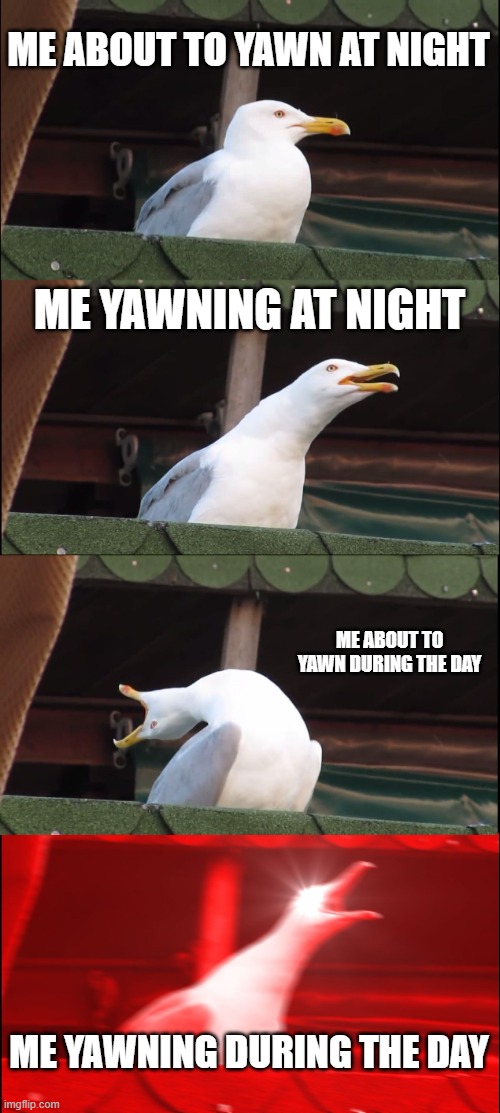 reposting a meme i made | ME ABOUT TO YAWN AT NIGHT; ME YAWNING AT NIGHT; ME ABOUT TO YAWN DURING THE DAY; ME YAWNING DURING THE DAY | image tagged in memes,inhaling seagull | made w/ Imgflip meme maker