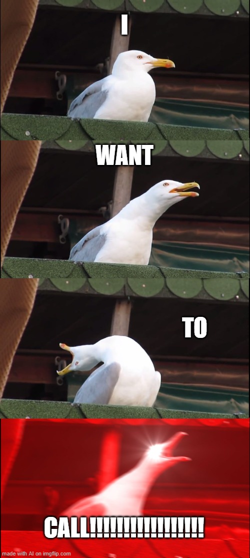 Inhaling Seagull Meme | I; WANT; TO; CALL!!!!!!!!!!!!!!!!! | image tagged in memes,inhaling seagull | made w/ Imgflip meme maker