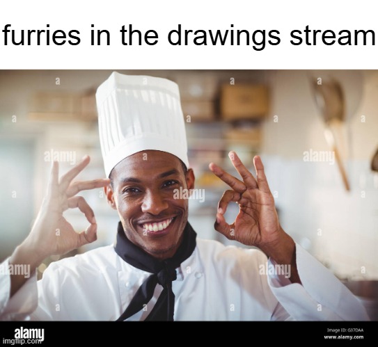 furries in the drawings stream | made w/ Imgflip meme maker