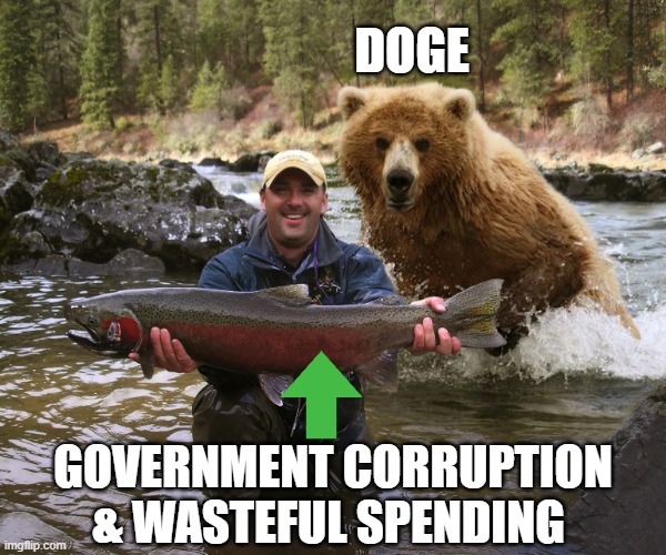 I struggle with what I think of Elon for constantly throttling my X account, but I love the hatchet he's taking to government. | DOGE; GOVERNMENT CORRUPTION & WASTEFUL SPENDING | image tagged in doge,elon musk,politics,democrat,republican,free speech | made w/ Imgflip meme maker