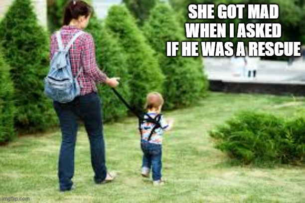 memes by  Brad - She got mad when I asked her if he was a "rescue" | SHE GOT MAD WHEN I ASKED IF HE WAS A RESCUE | image tagged in funny,fun,children,humor,mother and son | made w/ Imgflip meme maker