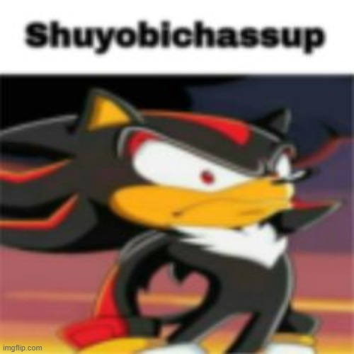 shadow shuyobichassup | image tagged in shadow shuyobichassup | made w/ Imgflip meme maker