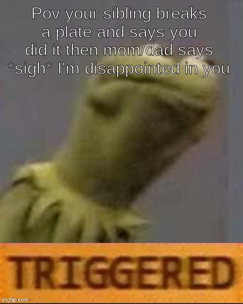 Kermit Triggered | Pov your sibling breaks a plate and says you did it then mom/dad says *sigh* I'm disappointed in you | image tagged in kermit triggered,relatable,why you always lying | made w/ Imgflip meme maker