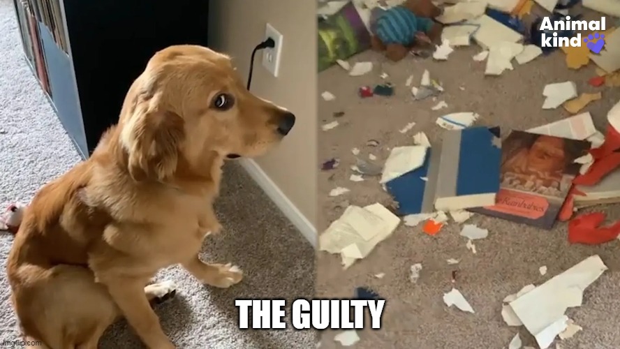 THE GUILTY | made w/ Imgflip meme maker