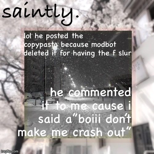 my template | lol he posted the copypasta because modbot deleted it for having the f slur; he commented it to me cause i said a”boiii don’t make me crash out” | image tagged in my template | made w/ Imgflip meme maker