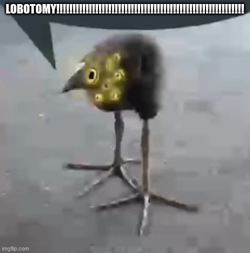 LOBOTOMYYYYY!!!!!!!!!!!!!!!!!!!!!!!!!!! | LOBOTOMY!!!!!!!!!!!!!!!!!!!!!!!!!!!!!!!!!!!!!!!!!!!!!!!!!!!!!!!!!! | image tagged in lobotomy corporation bird | made w/ Imgflip meme maker