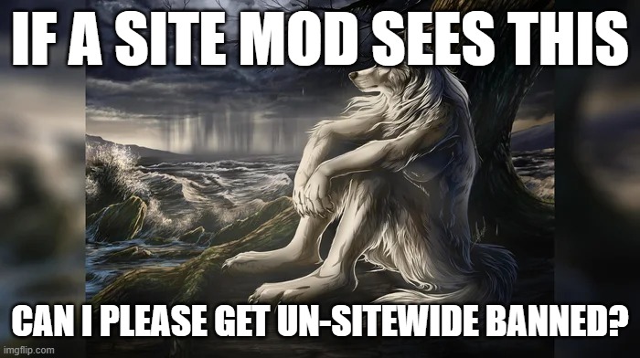 Sigma Wolf | IF A SITE MOD SEES THIS; CAN I PLEASE GET UN-SITEWIDE BANNED? | image tagged in sigma wolf | made w/ Imgflip meme maker