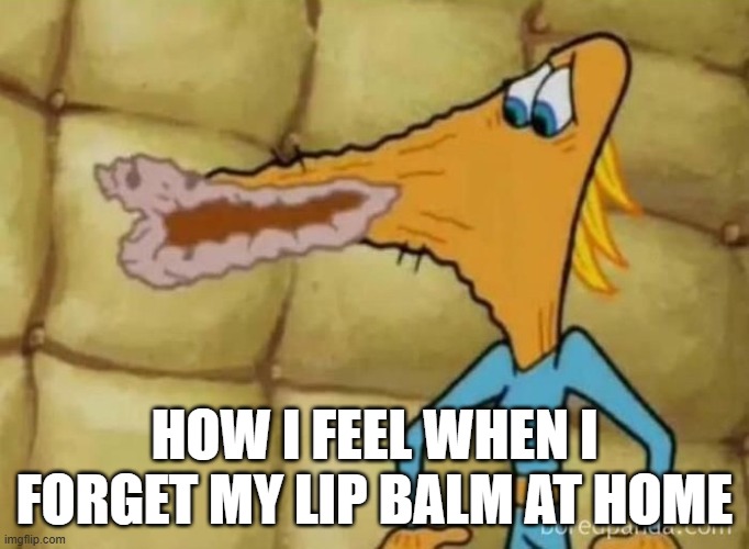 cracked lips fr | HOW I FEEL WHEN I FORGET MY LIP BALM AT HOME | image tagged in lips,dry,ahh,i'm gonna lick it,hilarious | made w/ Imgflip meme maker